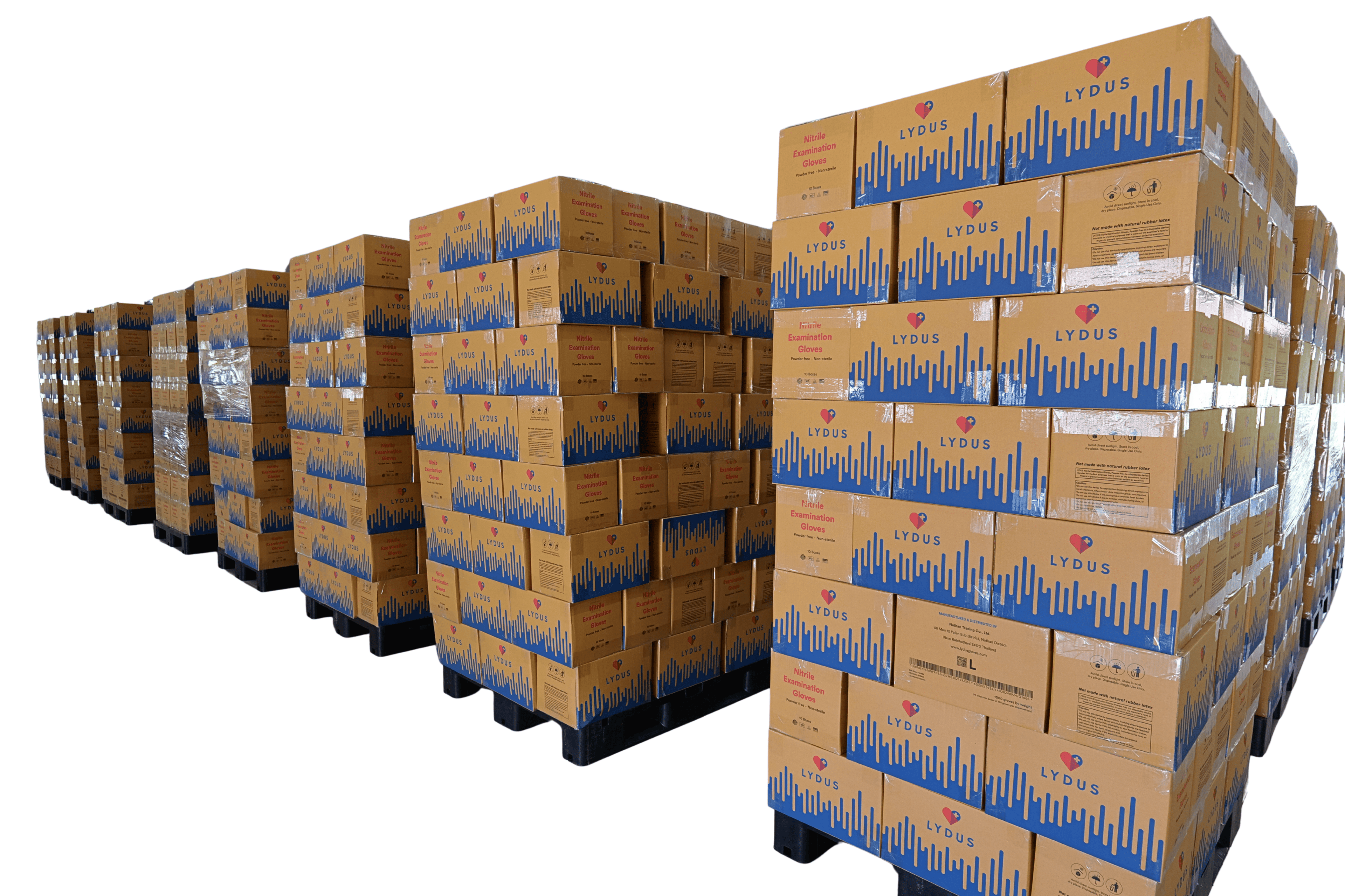 Lydus 5mil Blue Nitrile Examination Disposable Gloves (LBN5), Case of 1000 Wholesale, 5mil (ASTM D6319, FDA 510k)